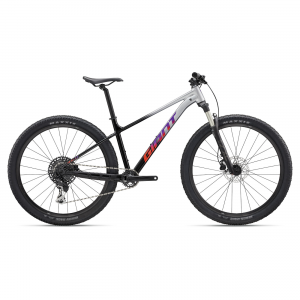 Jalgratas GIANT Talon 29 1 (2027) Grey/Black (M)